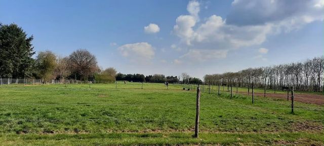 Les boxes extérieurs du Domaine de Nebula et les prés attenants